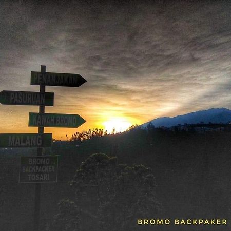 Apartament Bromo Backpacker Tosari Pasuruan Zewnętrze zdjęcie