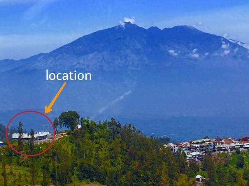 Apartament Bromo Backpacker Tosari Pasuruan Zewnętrze zdjęcie